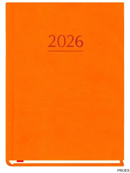 Terminarz MARTA B6 2026 - pomarańczowy Michalczyk i Prokop T-215V-P