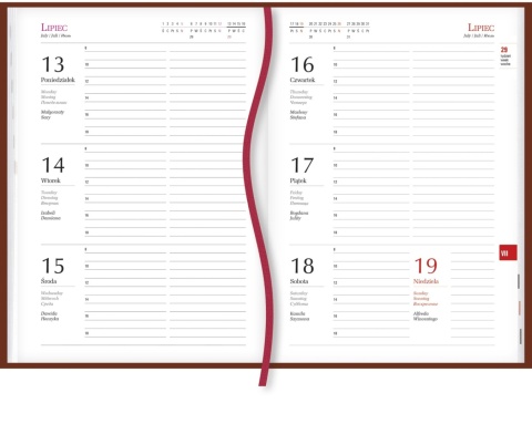 Terminarz Popularny A5 2026 - czarny Michalczyk i Prokop T-209V-V