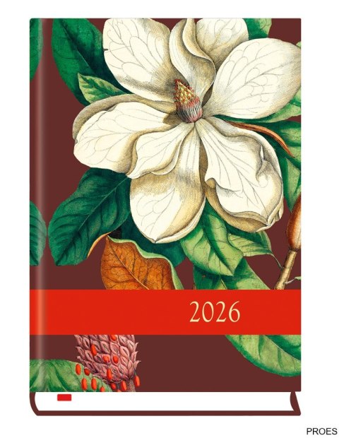 Terminarz Powszechny B6 2026 Michalczyk i Prokop T-200F-01 Terminarz Powszechny B6 2026 Michalczyk i Prokop T-200F-01