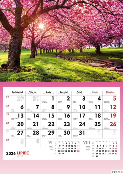 Terminarz Ścienny 2026 Michalczyk i Prokop T-107S-3