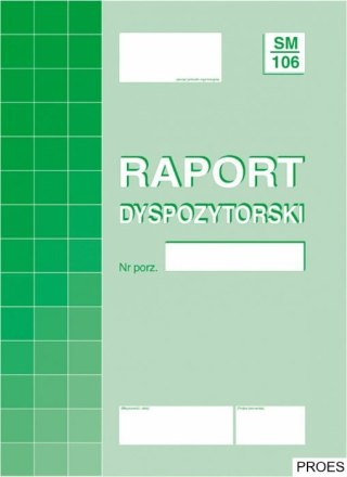 804-1 RD Raport Dyspozytor.A4 Michalczyk i Prokop (X)