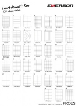 Etykieta A4 70*30 biała (100) 008 EMERSON eta4070x030w