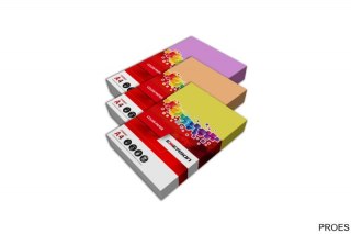 Papier xero A4 80g mix int1001 czer,ró,bł,słon,mięt.100ark xem1001n
