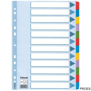 Przekładki, kolorowy karton, karta opisowa Mylar A4, Esselte, 12 kart, , 100169