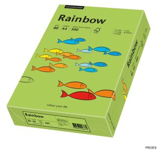 Papier A3/80g zielony R76 RAINBOW 88042654