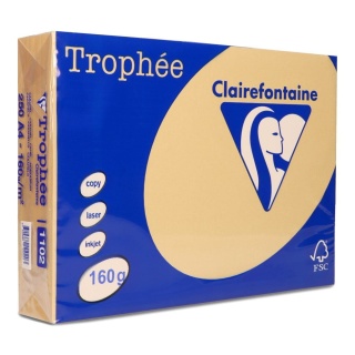 Papier xero TROPHEE A4 160g/m2, brąz wielbłądzi (xca41102)250ark