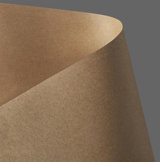 Karton ozdobny KRAFT ciemnobeżowy A4 230g. (20) 204426 Galeria Papieru