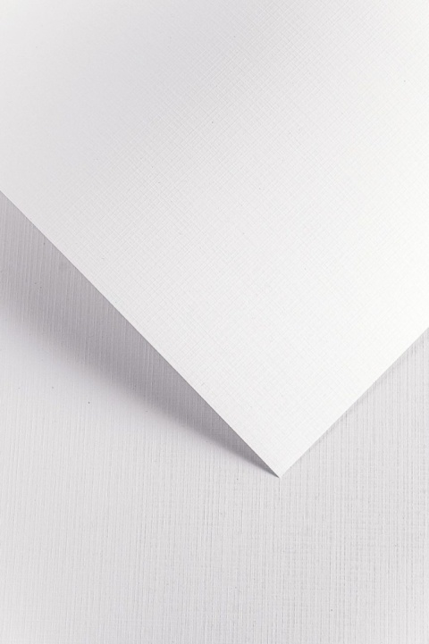 Karton ozdobny kratka biały 220g A4 20ark. A4 201631 GALERIA PAPIERU