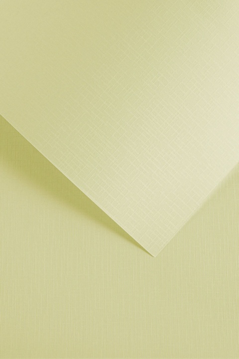 Papier ozdobny HOLLAND kremowy (50) 100g 206302 GALERIA PAPIERU