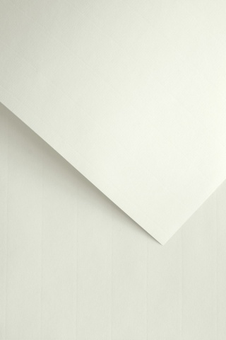 Papier ozdobny LAID biały (50 szt.) 110g 206901