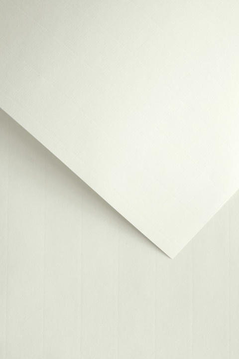 Papier ozdobny LAID biały (50 szt.) 110g 206901