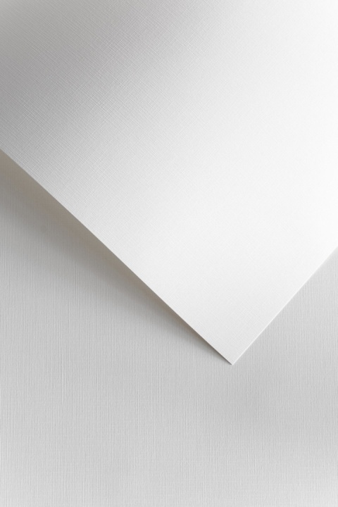 Papier ozdobny Płótno biały 120g 50szt. 206101 GALERIA PAPIERU