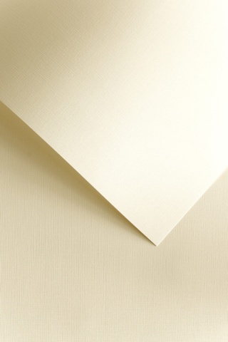 Papier ozdobny Płótno kremowy 120g 50szt. 206102 GALERIA PAPIERU