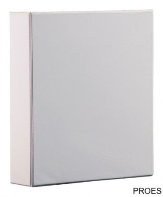 Segregator ofert.Panorama Fokus A4 40mm 2D biały PANTA PLAST 0316-0023-09 (X) SALE